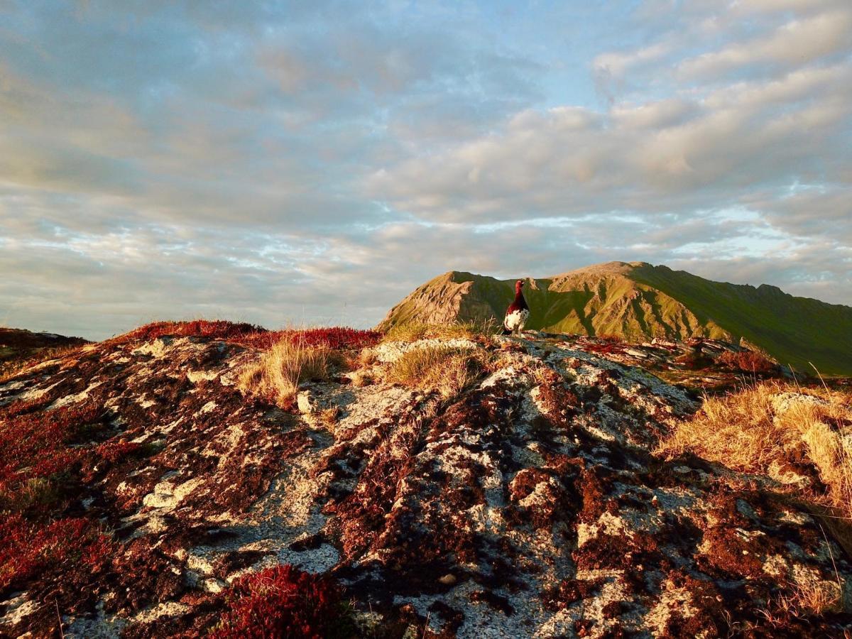 Lofoten Troll View Bostad Exterior photo